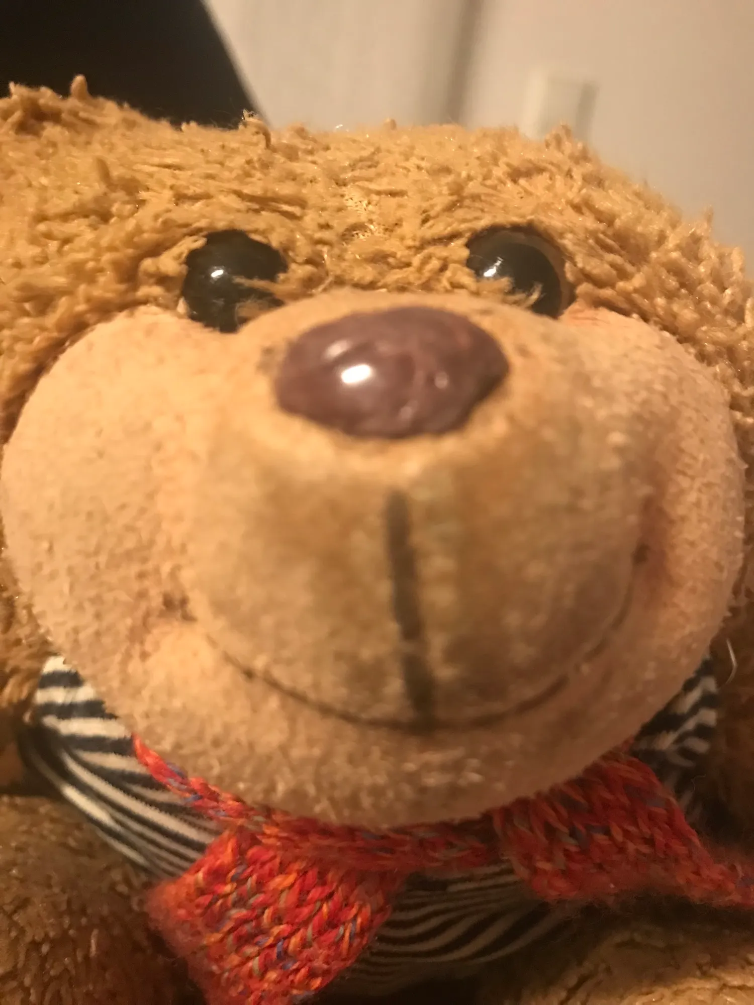 Teddybär mit rotem Strickhalstuch, ganz nah fotografiert